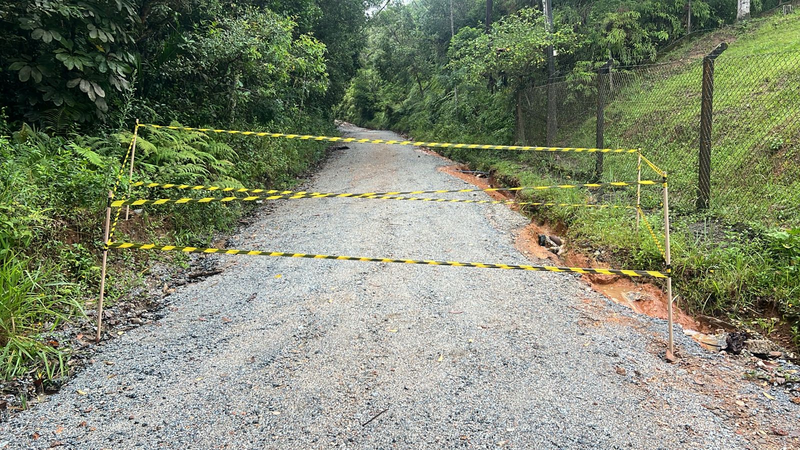 Queda de árvore bloqueia acesso ao Parque da Atalaia