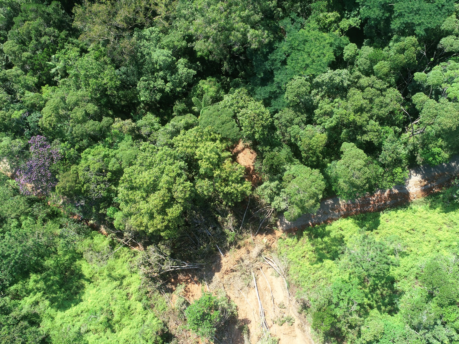 Parque do Atalaia permanece interditado devido a deslizamentos de terra