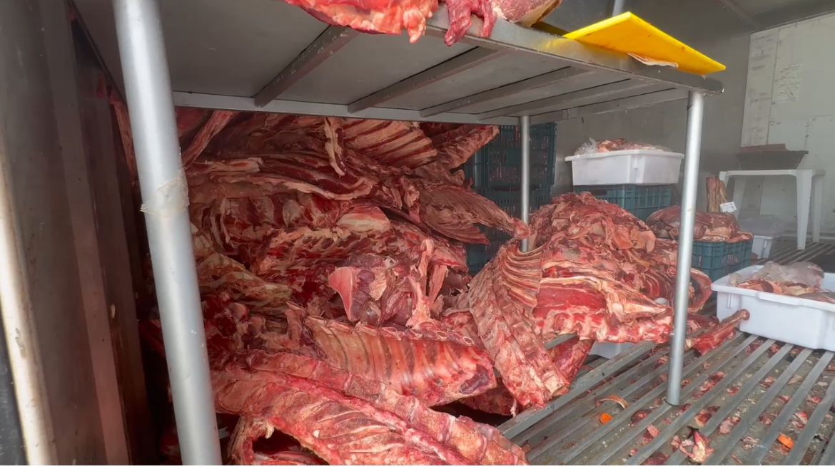 Vigilância Sanitária de Itajaí apreende container com quase três toneladas de carne estragada